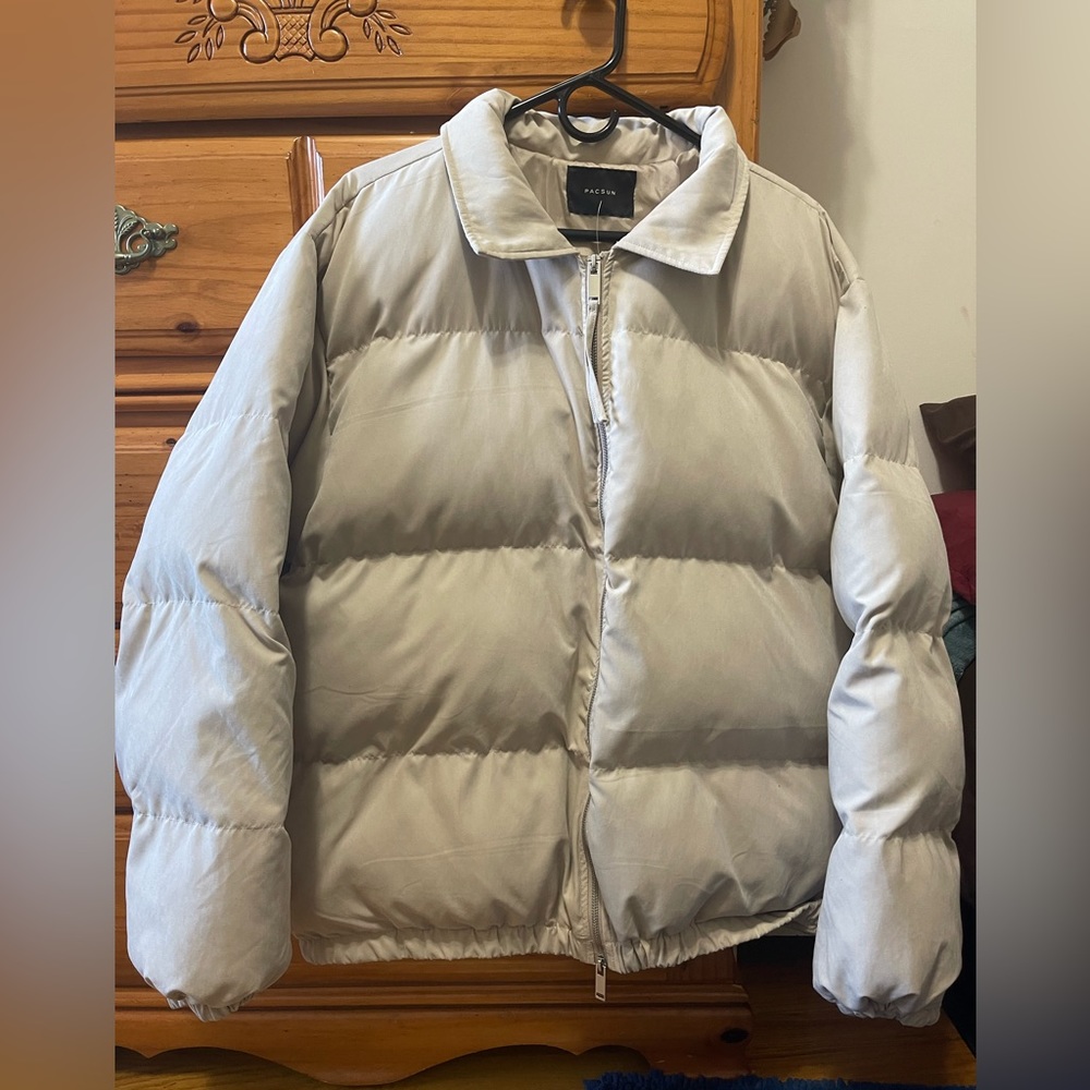 PacSun puffer. Brand new never worn. Size L but fits like XL